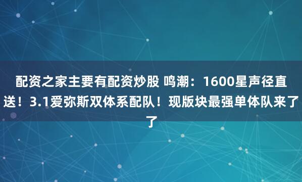 配资之家主要有配资炒股 鸣潮：1600星声径直送！3.1爱弥斯双体系配队！现版块最强单体队来了