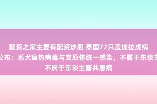配资之家主要有配资炒股 泰国72只孟加拉虎病一火原因公布：系犬瘟热病毒与支原体统一感染，不属于东谈主畜共患病
